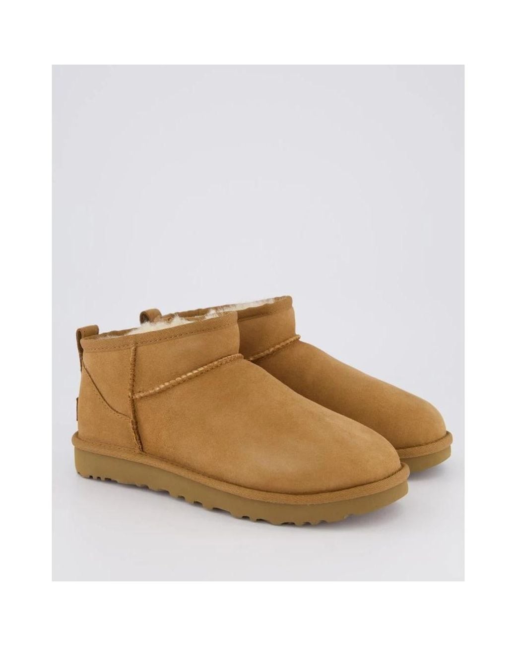 Winter Boots Ugg en coloris Brown