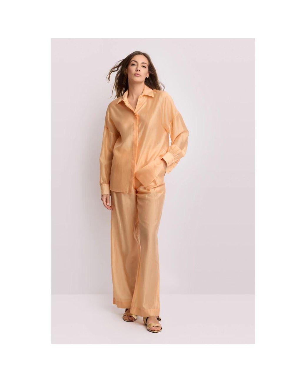 Shirts Kocca en coloris Brown