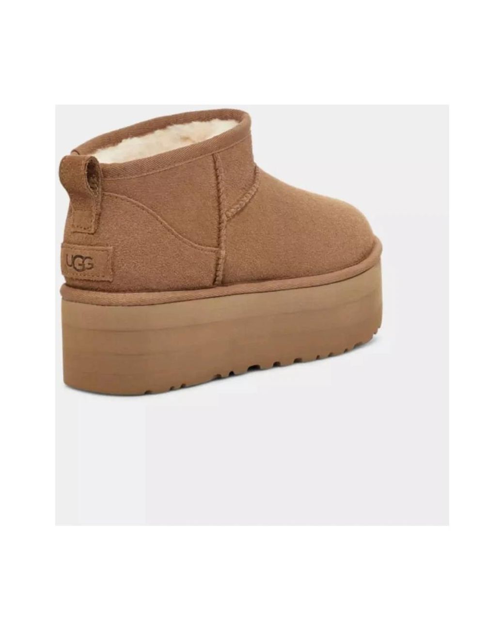 Winter Boots di Ugg in Brown