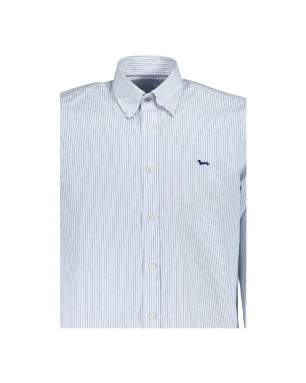 Harmont & Blaine Blue Formal Shirts for men