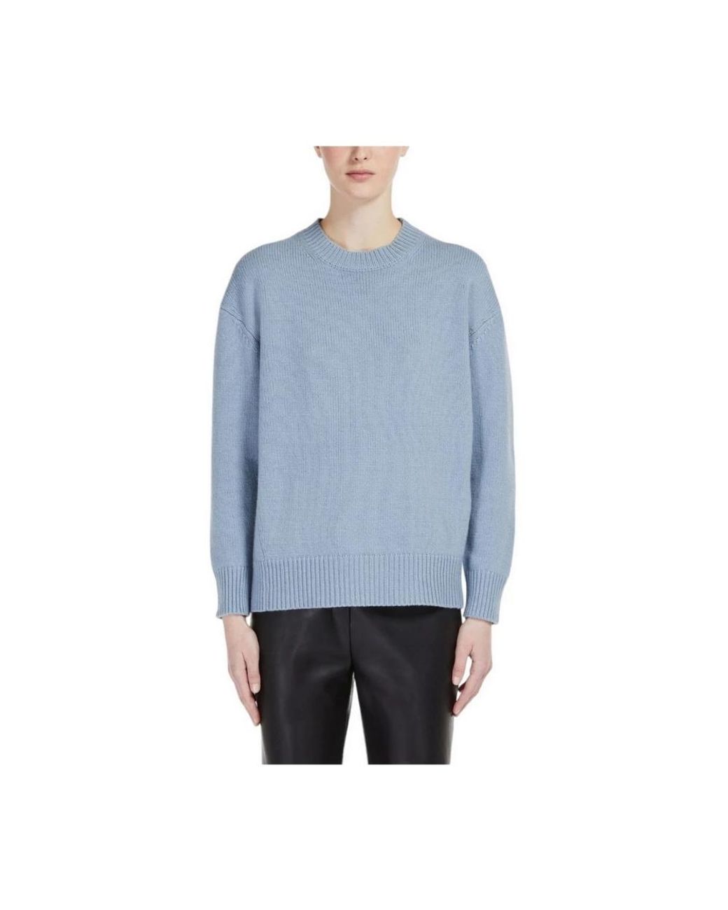 Max Mara Blue Round-Neck Knitwear