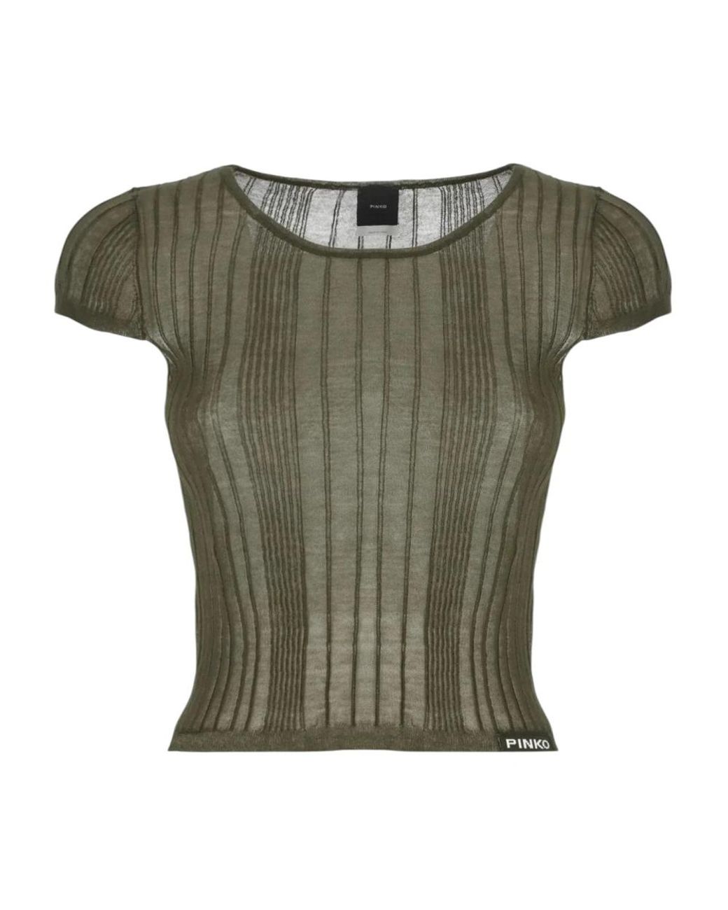 Pinko Tops ,Groen ,Katoen Tambora T-Shirt in het Green