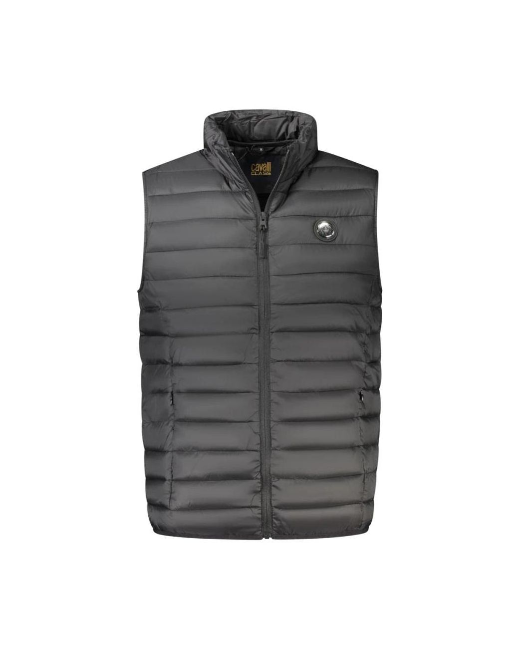 Roberto Cavalli Vests in het Gray voor heren