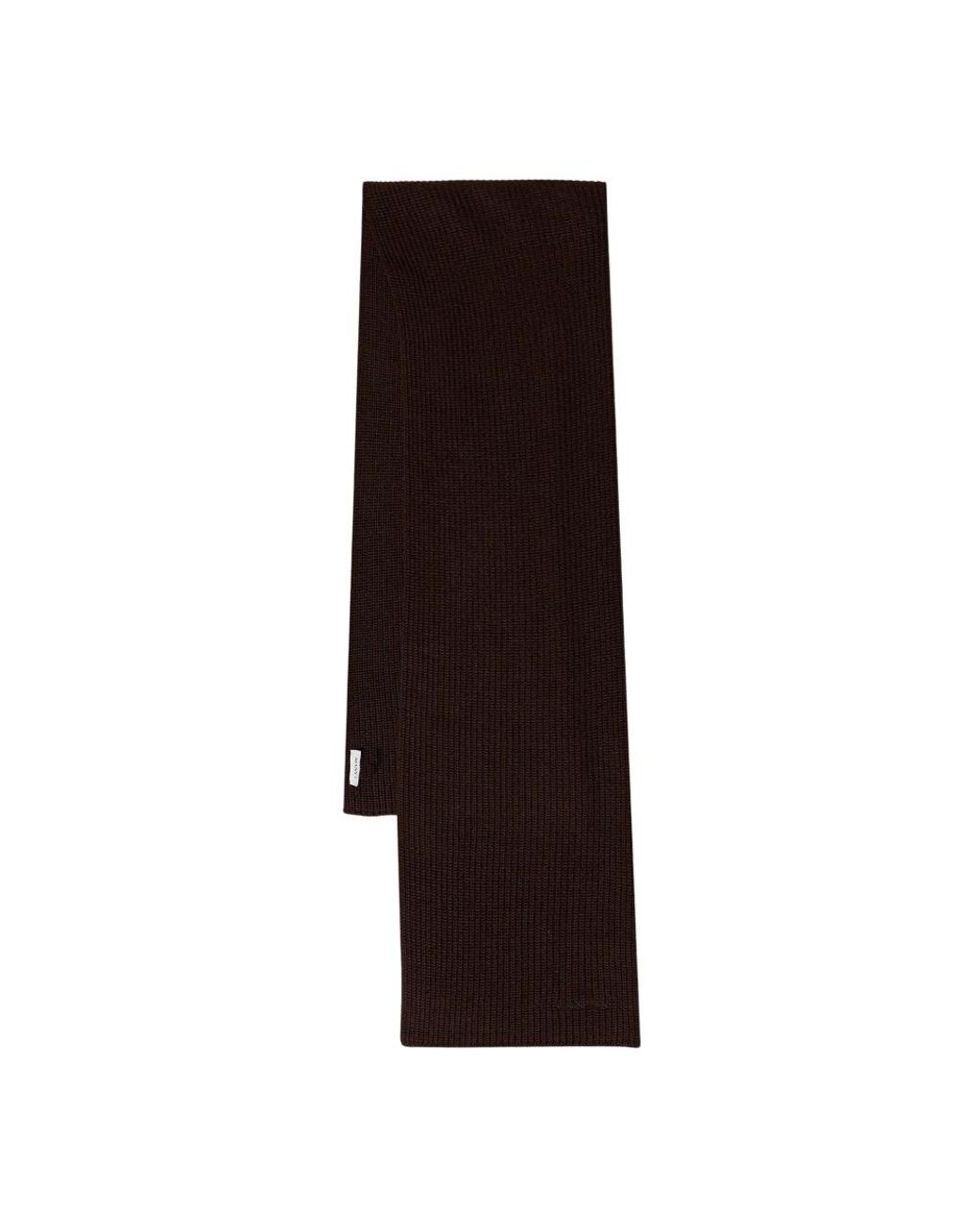Winter Scarves di Lanvin in Brown