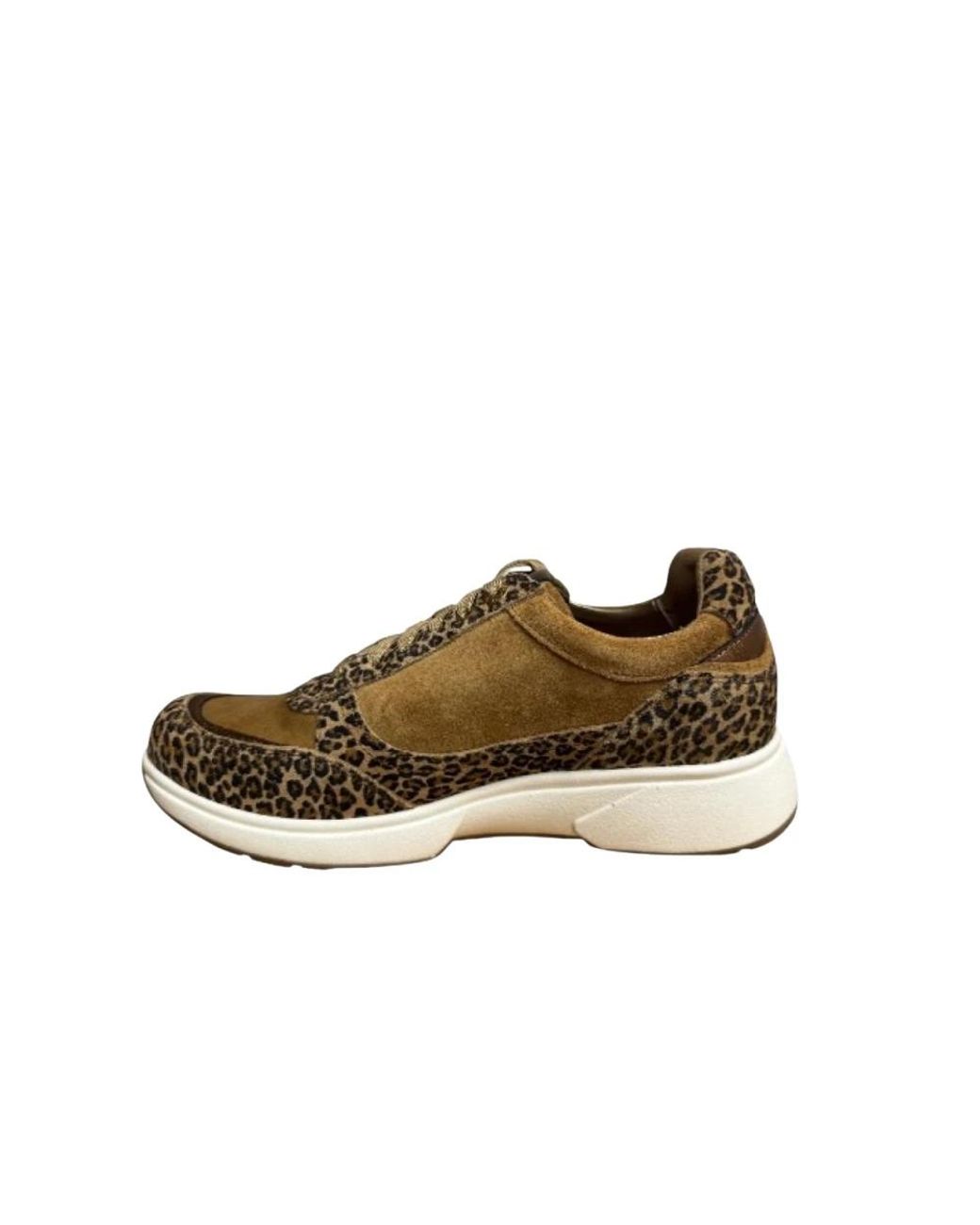 Sneakers Xsensible en coloris Brown