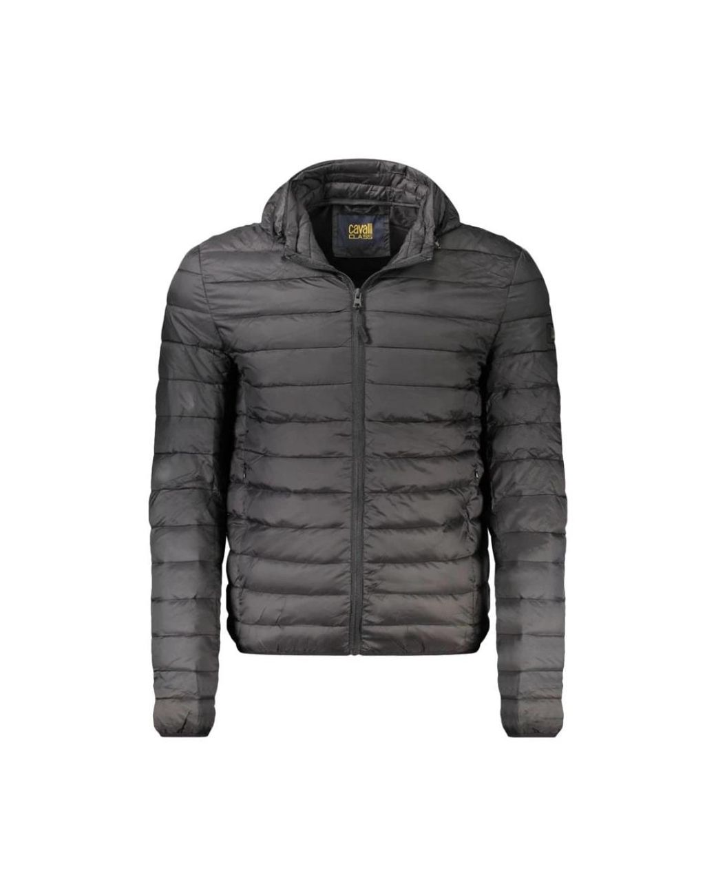 Winter Jackets Roberto Cavalli pour homme en coloris Gray