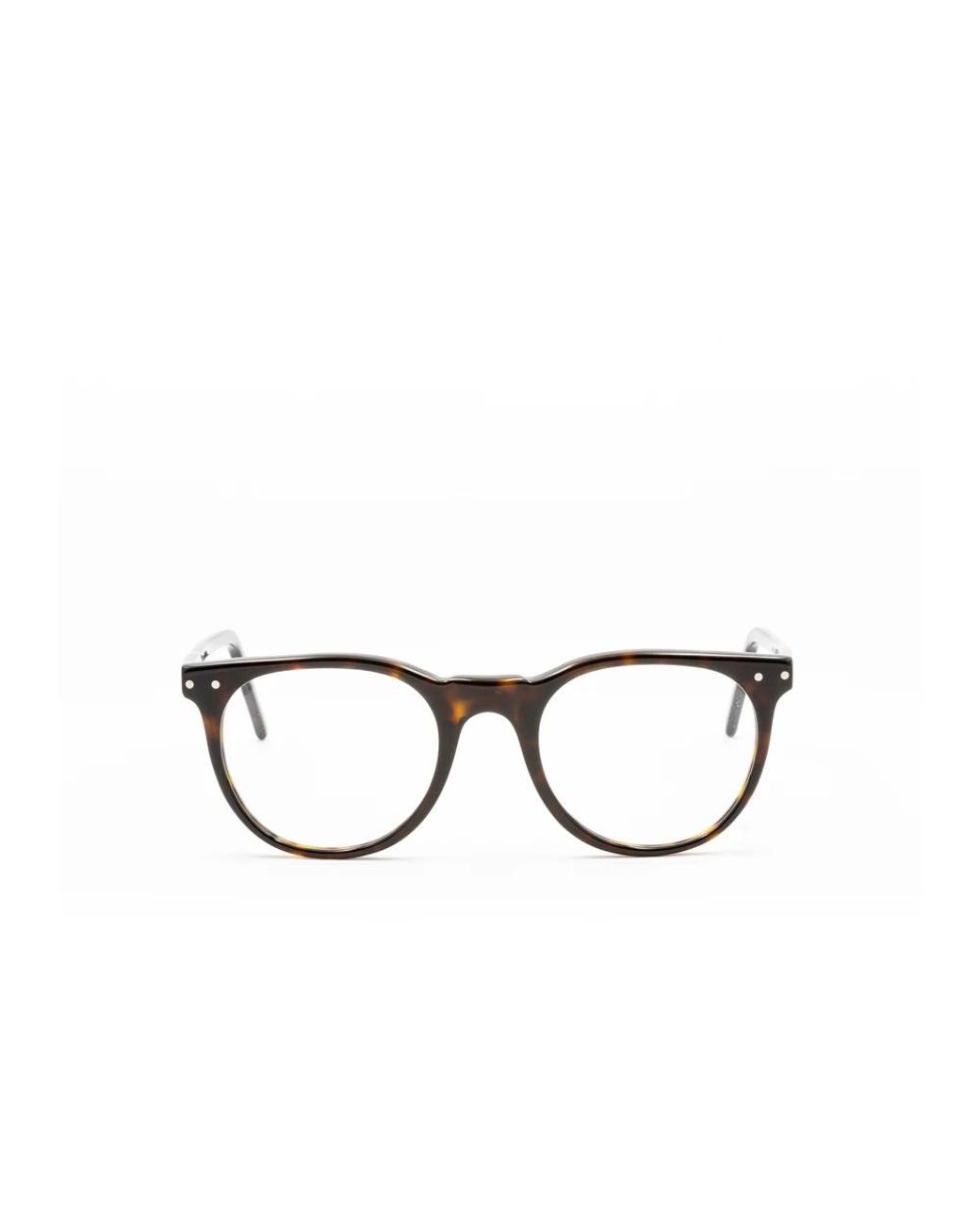 Moli Limo Metallic Glasses