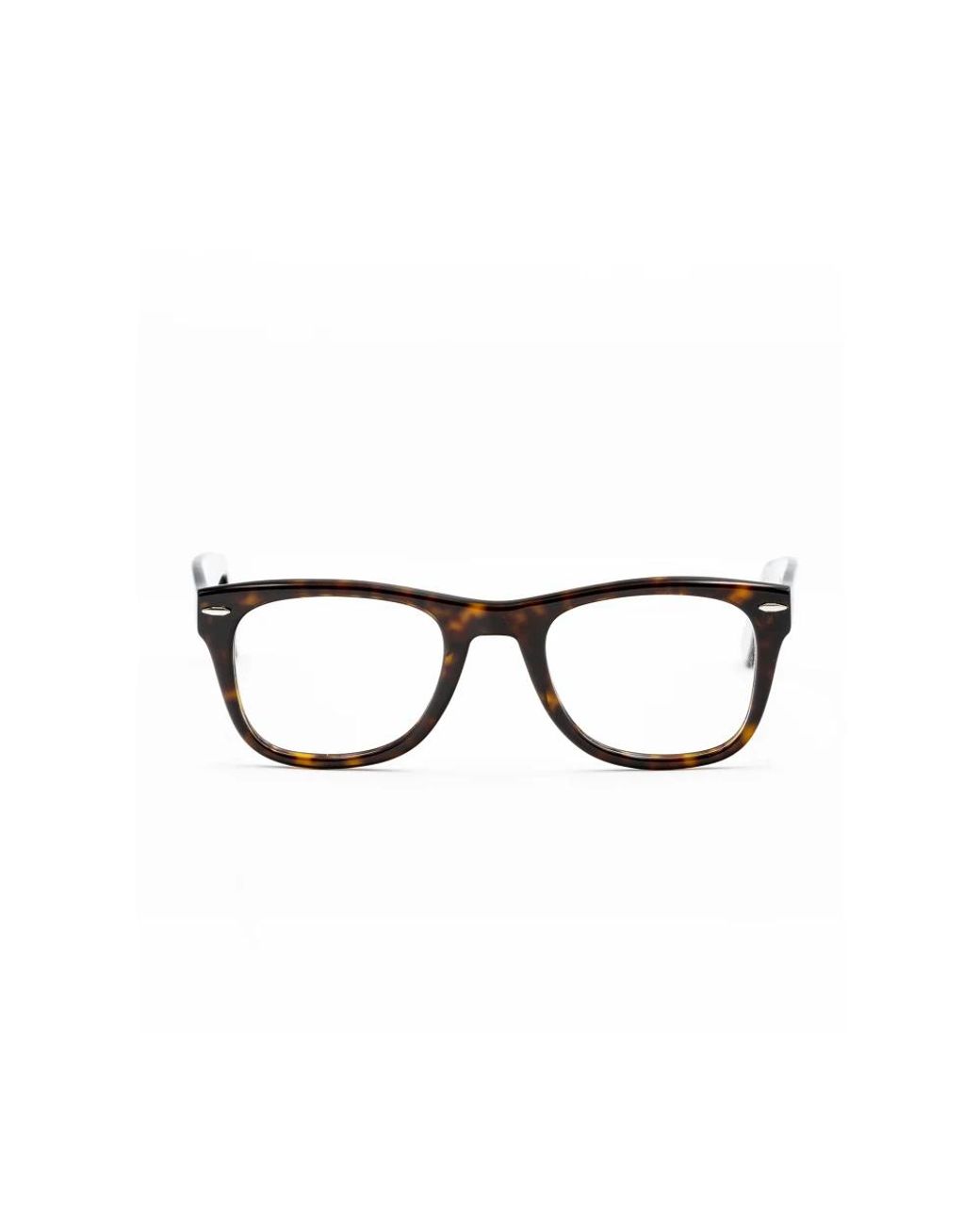 Moli Limo Brown Glasses
