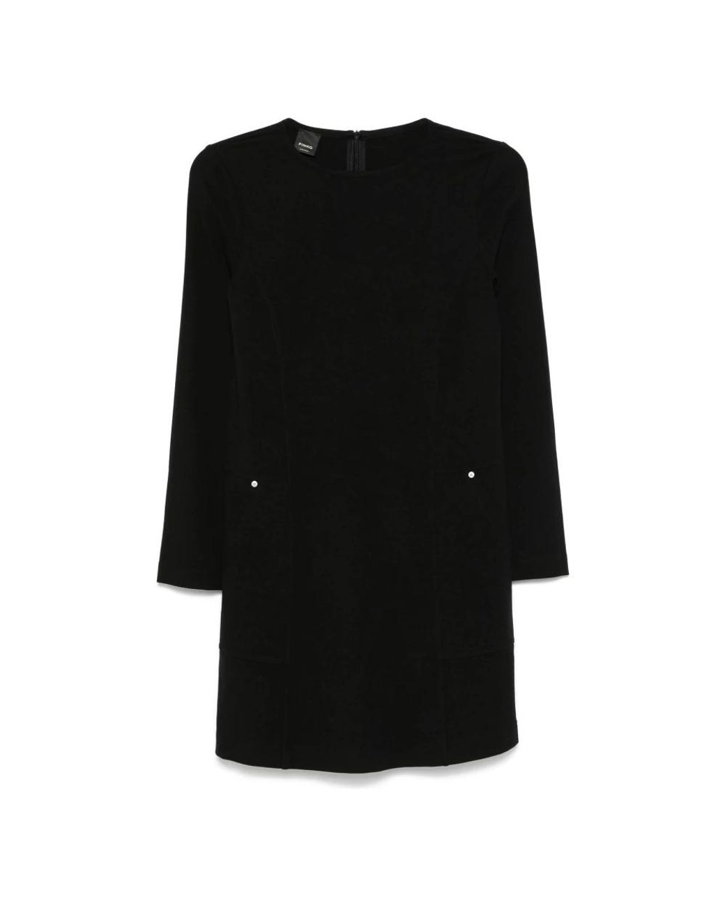 Pinko Kleedjes ,Zwart ,Nylon Detersivo Mini Jurk in het Black