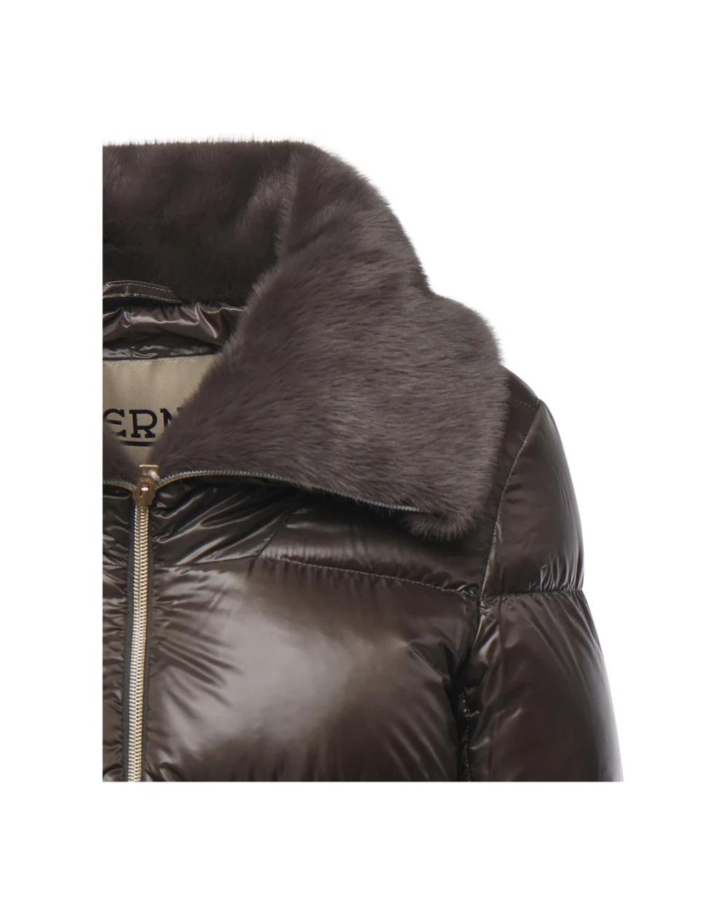 Winter Jackets Herno de color Brown