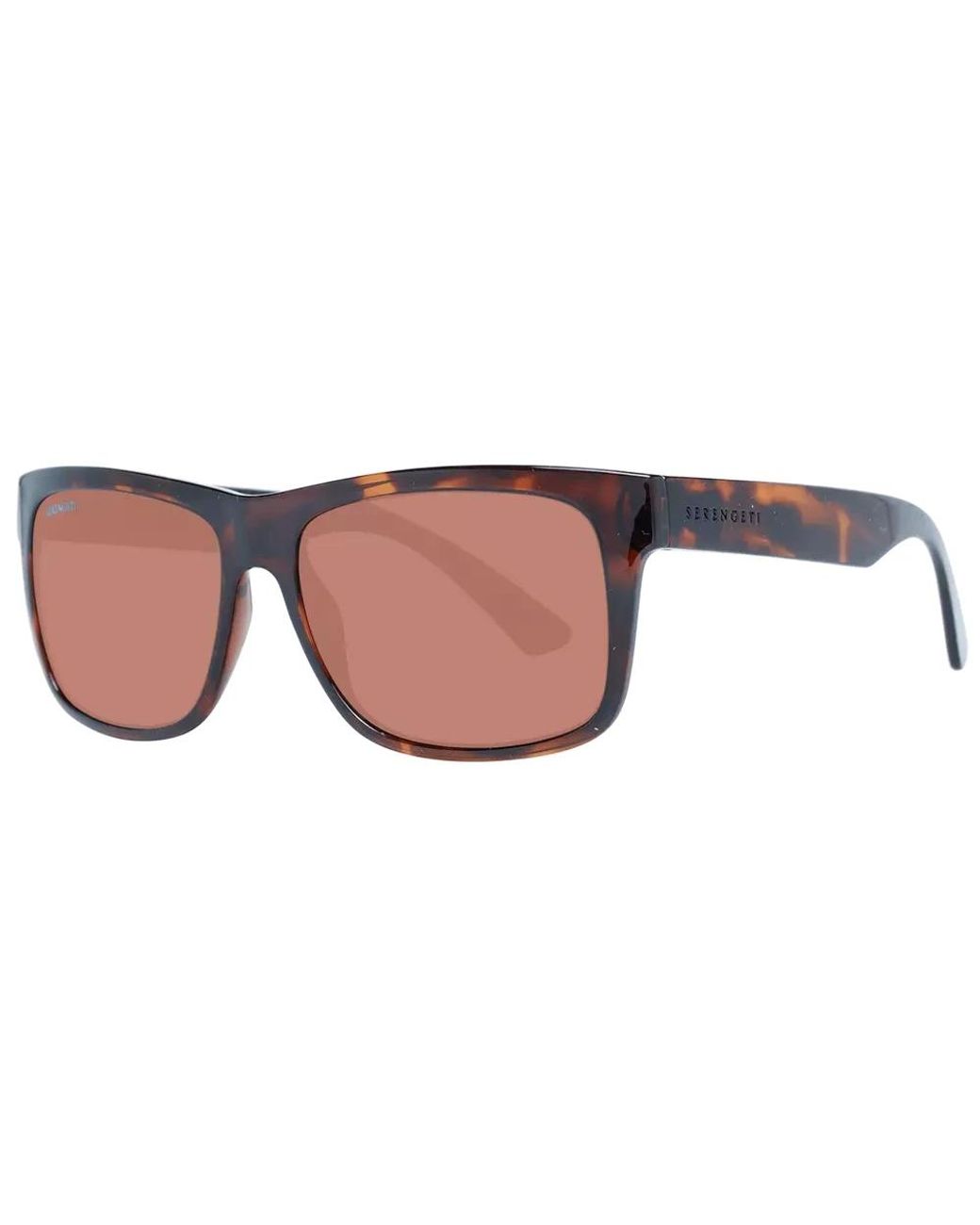 Serengeti Brown Sunglasses for men