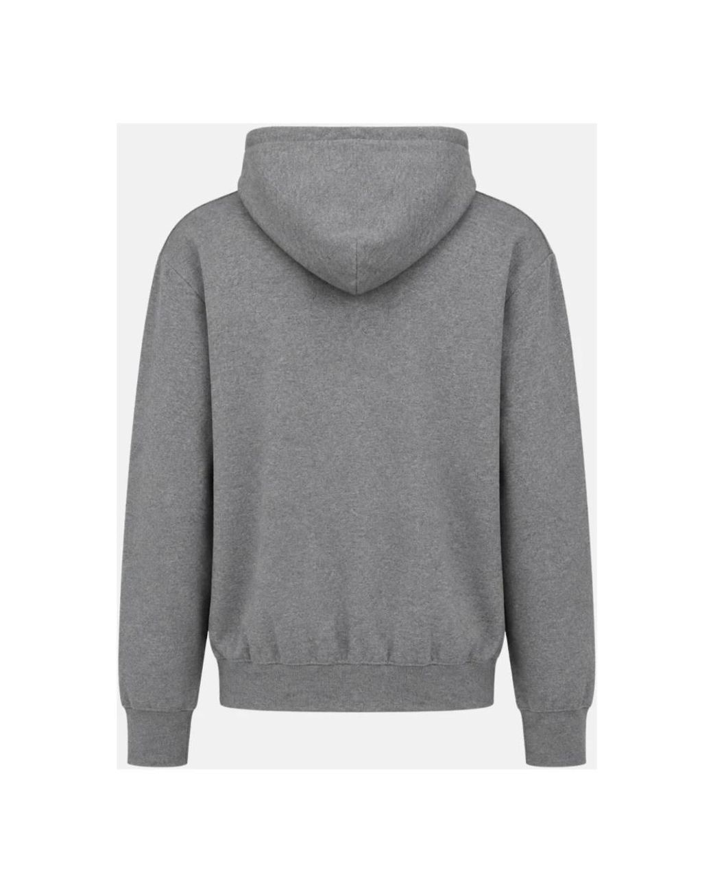 Polo Ralph Lauren Gray Hoodies for men