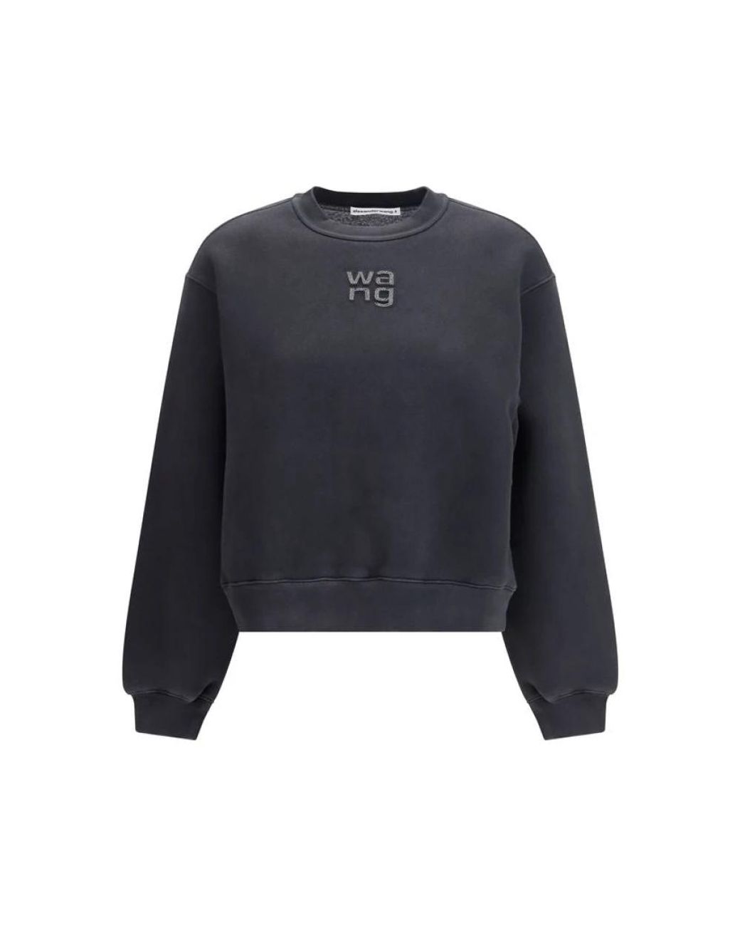 Alexander Wang Blue Sweatshirts