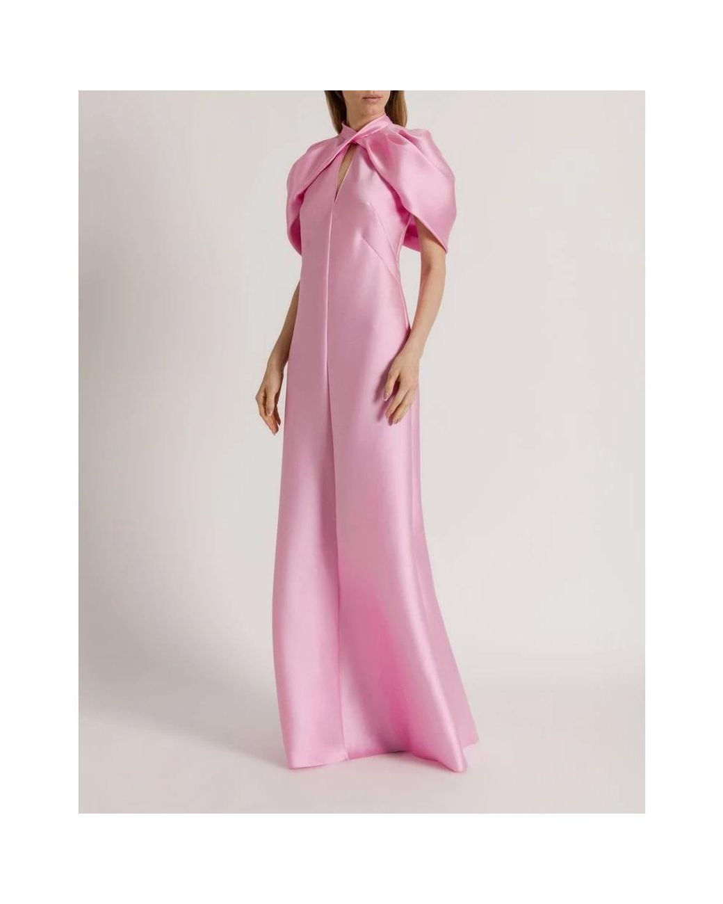 Alberta Ferretti Pink Gowns