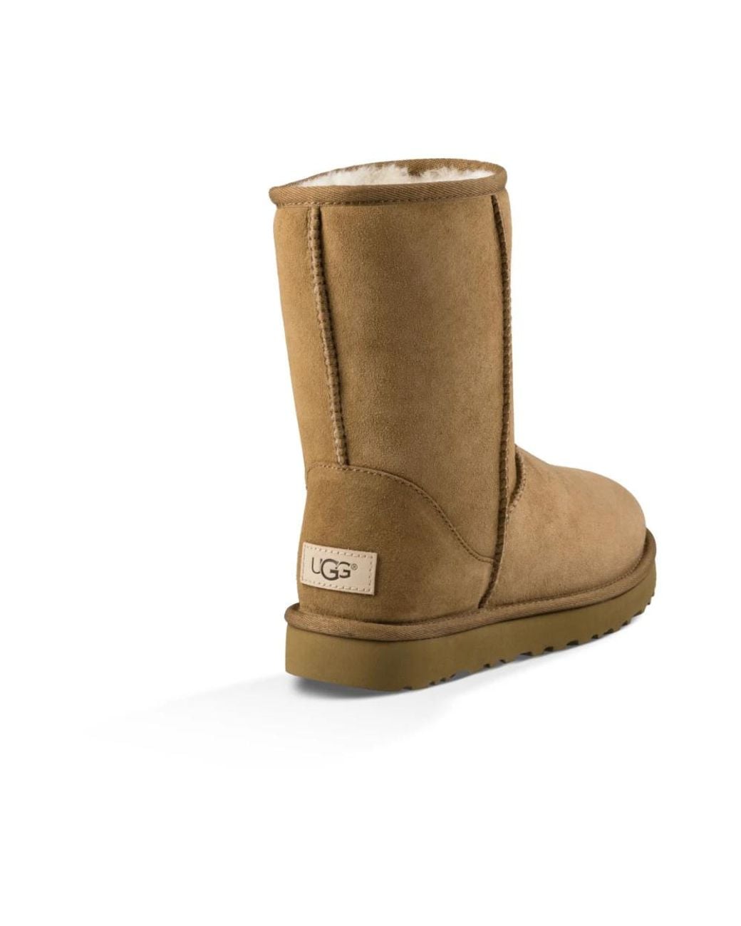 Winter Boots di Ugg in Brown