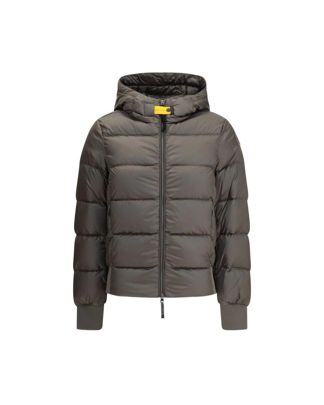 Parajumpers Gray Hooded Down Jacket