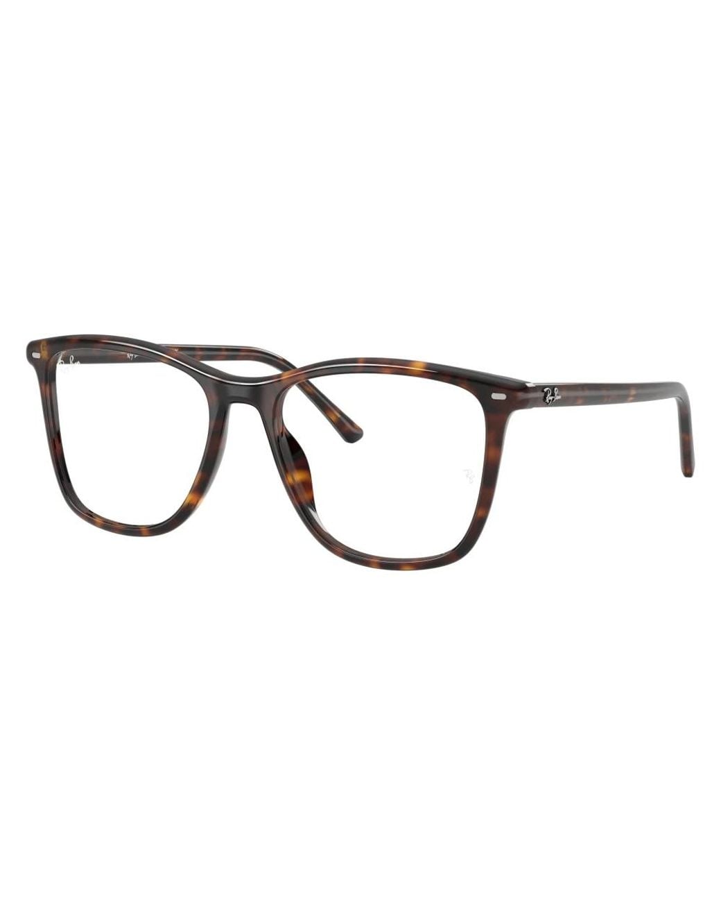 Ray-Ban Brown Glasses