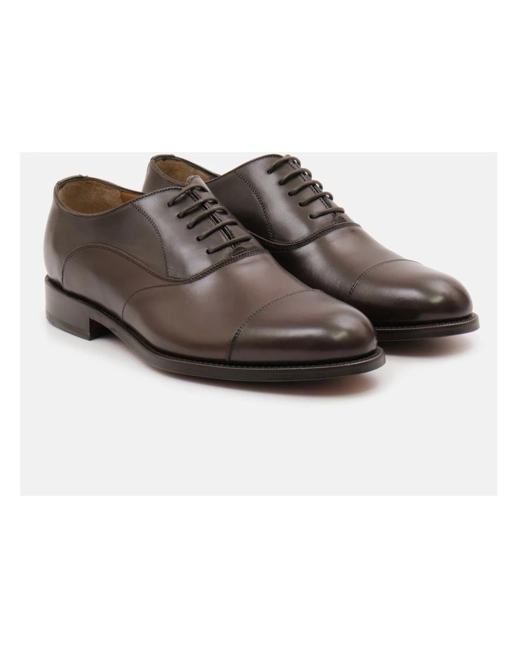 Calpierre Brown Dress Shoes for men