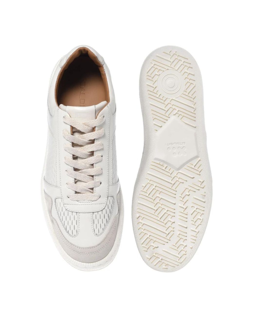 Baldinini Gray Sneakers for men