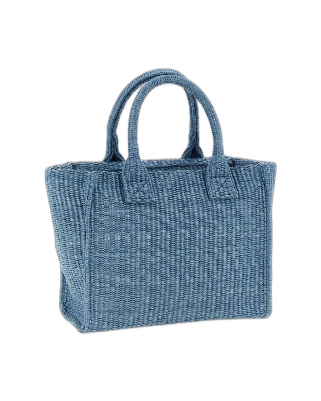 Pinko Blue Shopping Bags