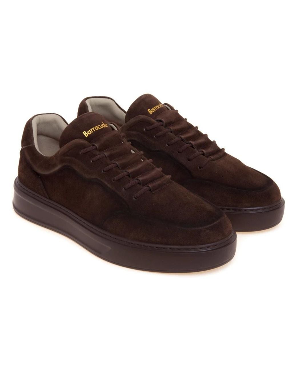 Barracuda Brown Sneakers for men