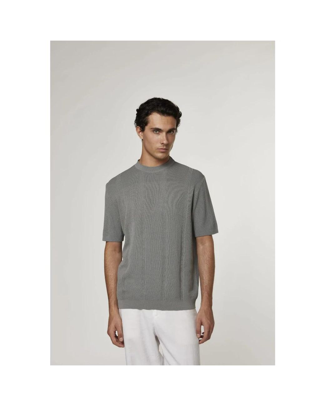 Daniele Fiesoli Gray Round-Neck Knitwear for men