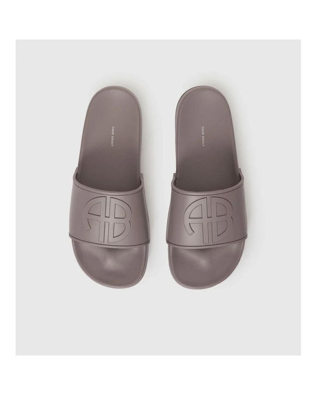 Anine Bing Brown Isla Slides