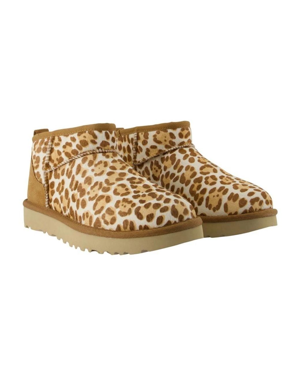 Winter Boots di Ugg in Brown