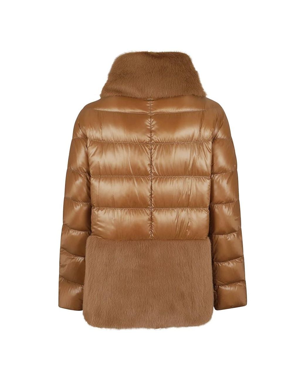 Winter Jackets Herno en coloris Brown