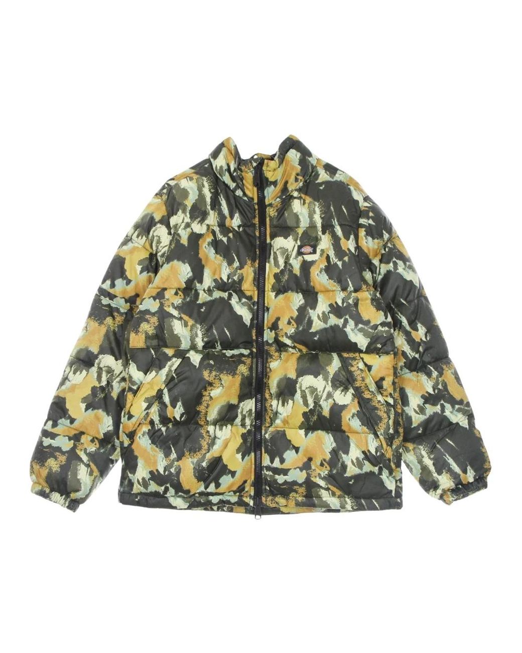 Winter Jackets Dickies pour homme en coloris Green