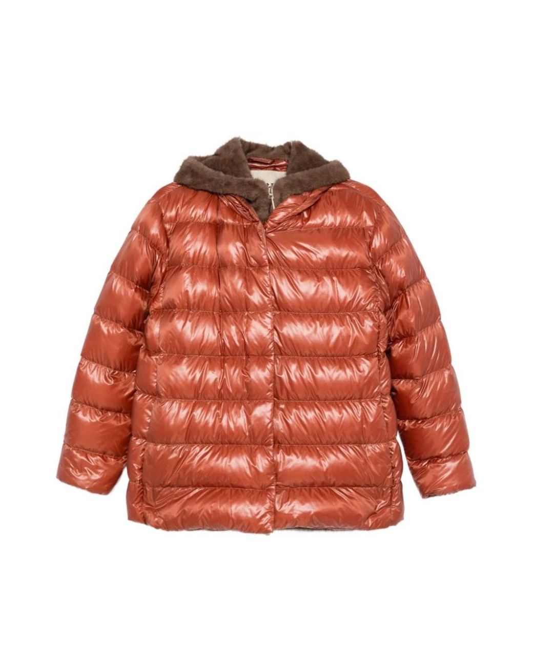 Winter Jackets Herno en coloris Orange