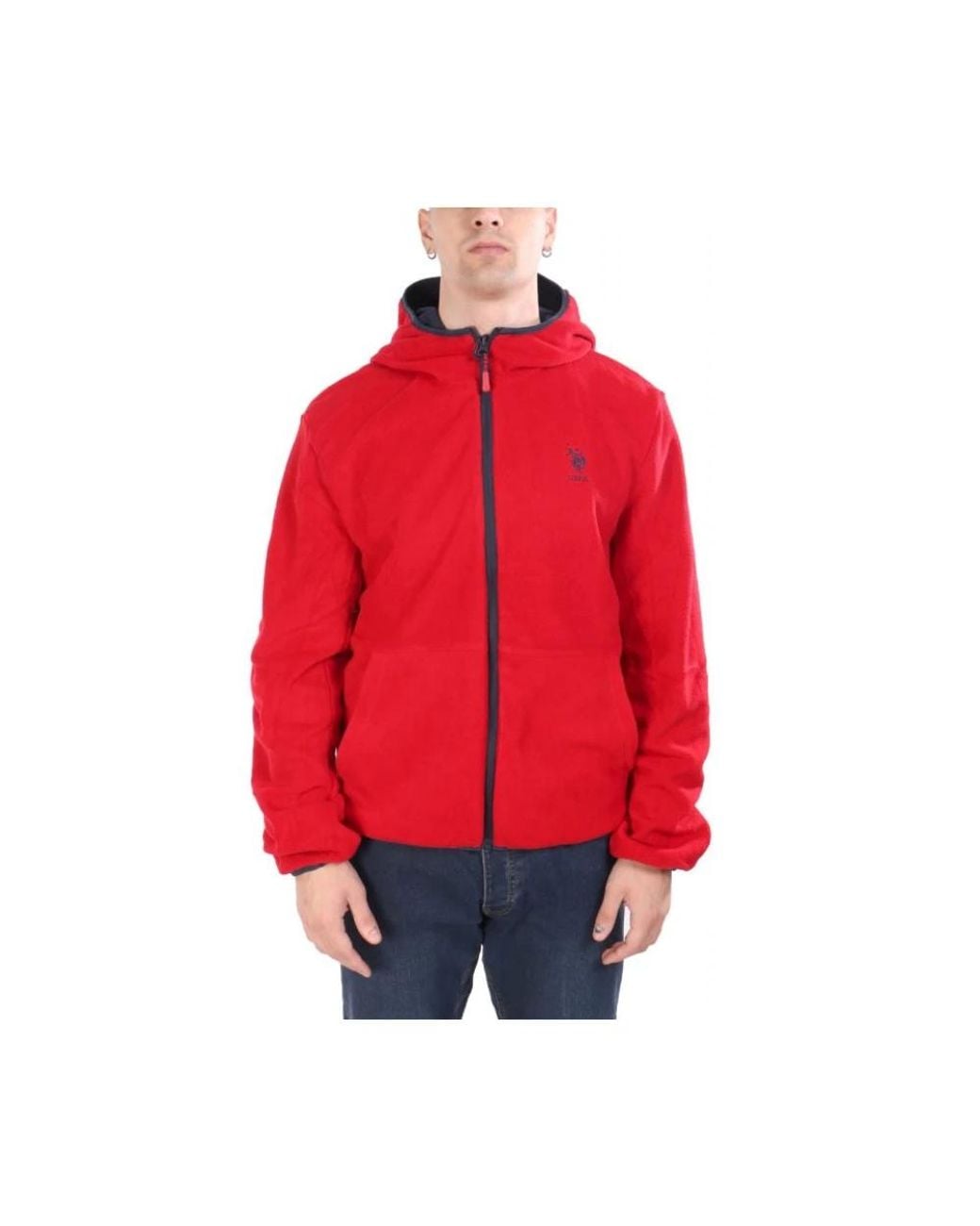 Winter Jackets U.S. POLO ASSN. de hombre de color Blue