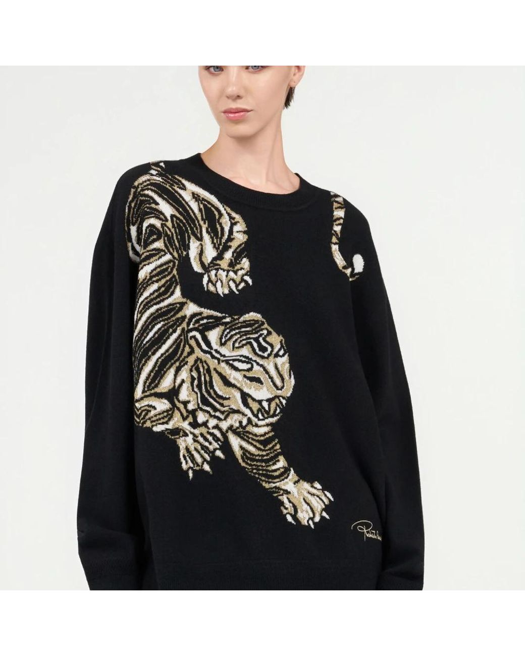 Roberto Cavalli Black Round-Neck Knitwear