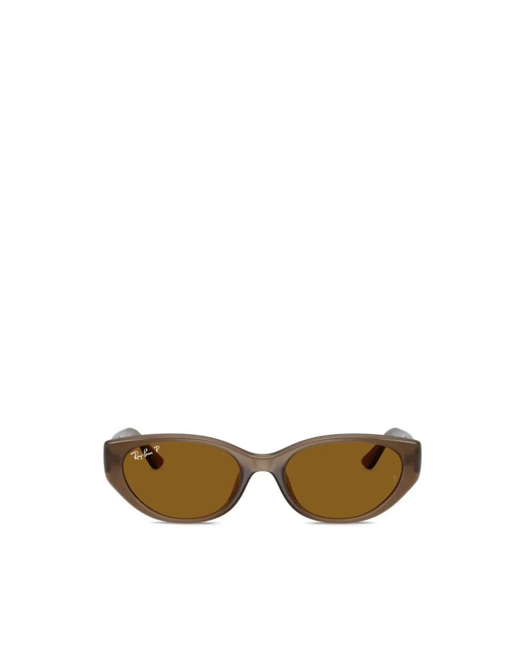 Ray-Ban Brown Sunglasses