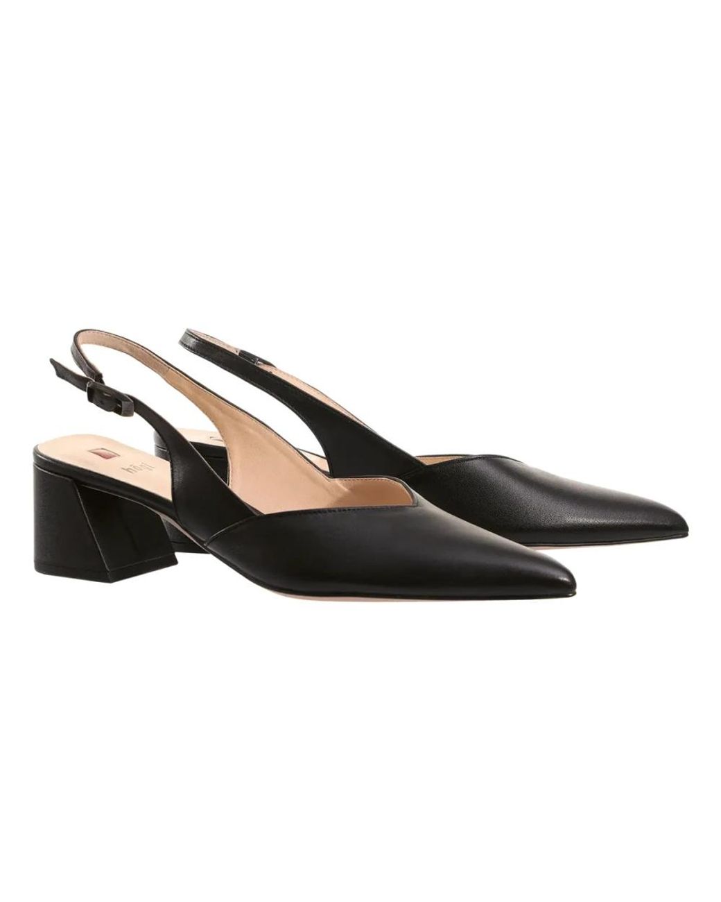 Pumps Högl en coloris Brown