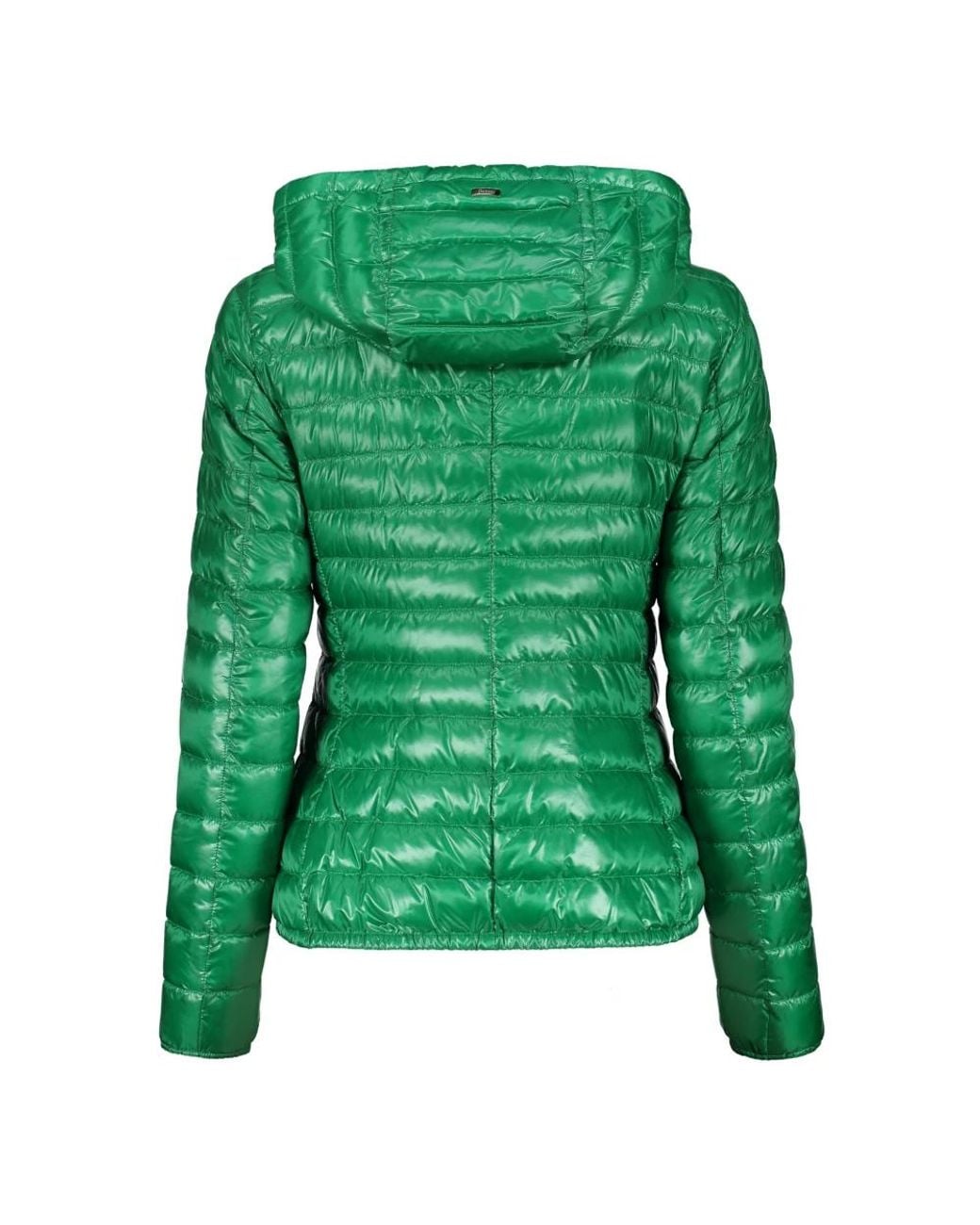 Down Jackets Herno de color Green