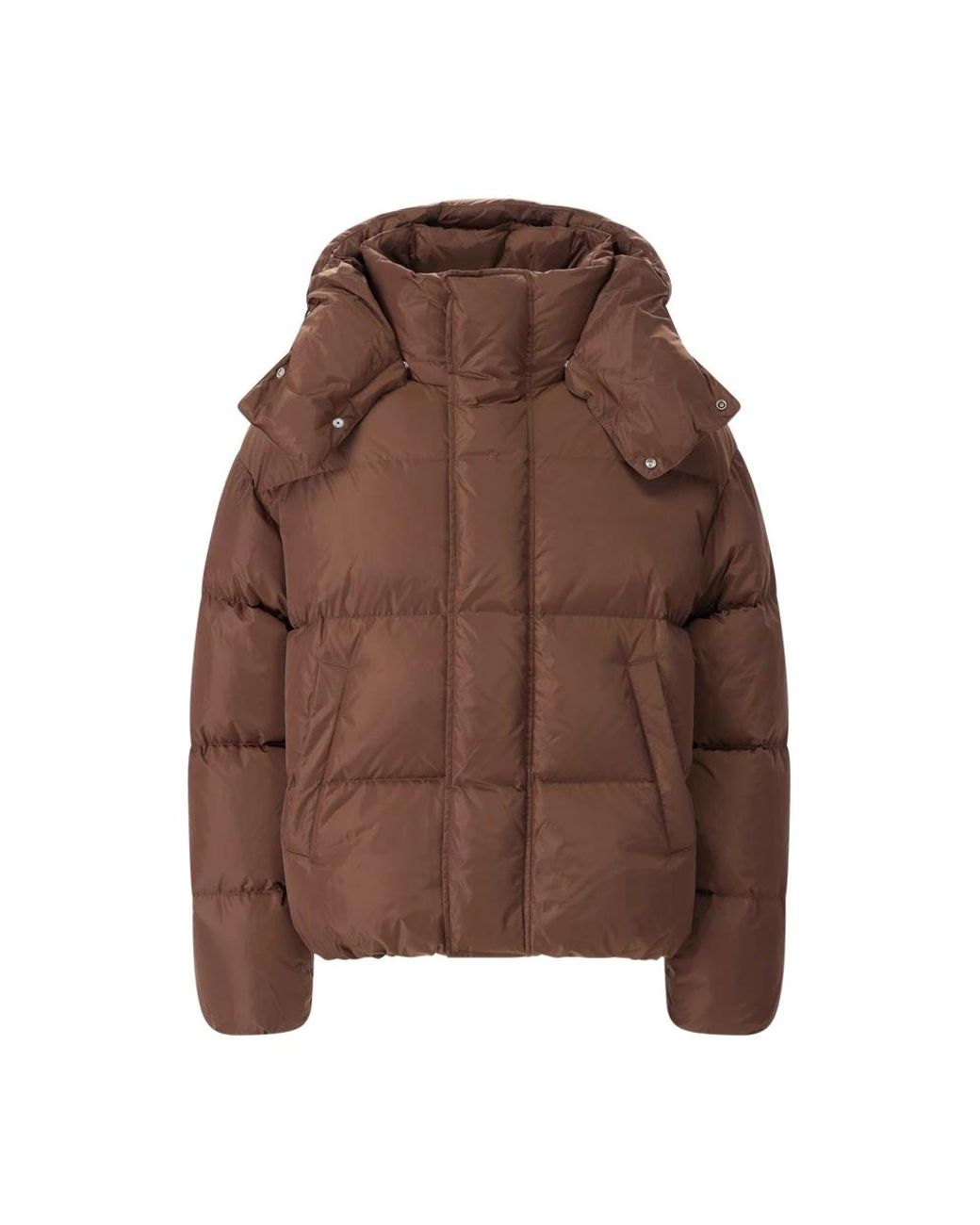 DSquared² Brown Down Jackets for men