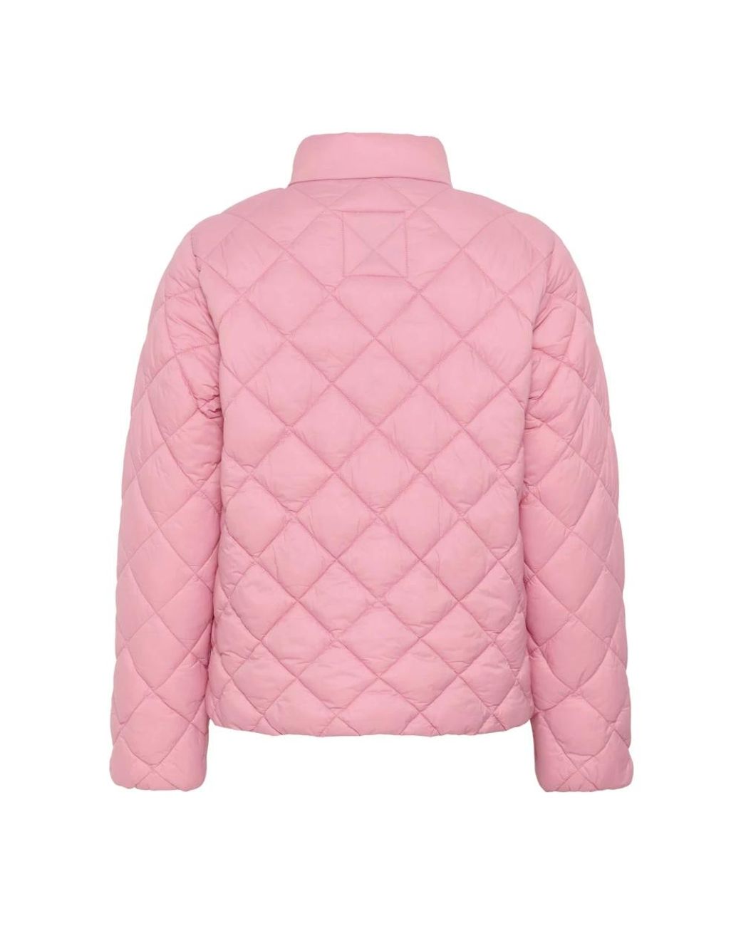 Light Jackets Part Two de color Pink