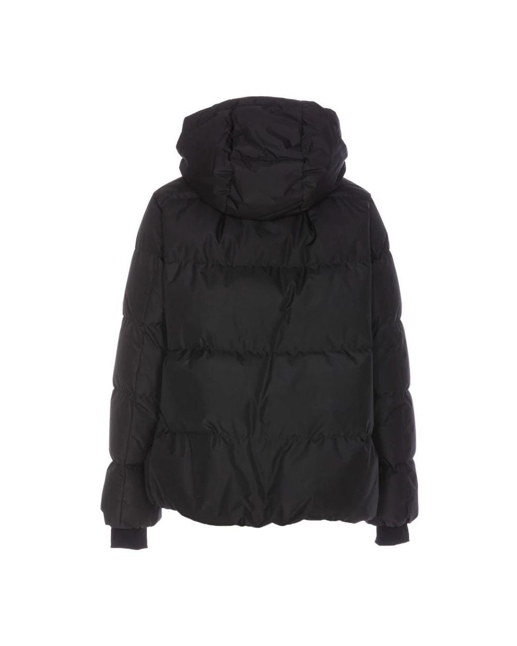 Down Jackets Herno en coloris Black