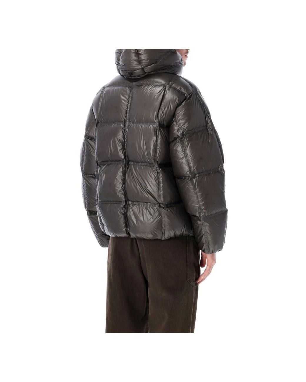 Training Jackets Roa de hombre de color Gray