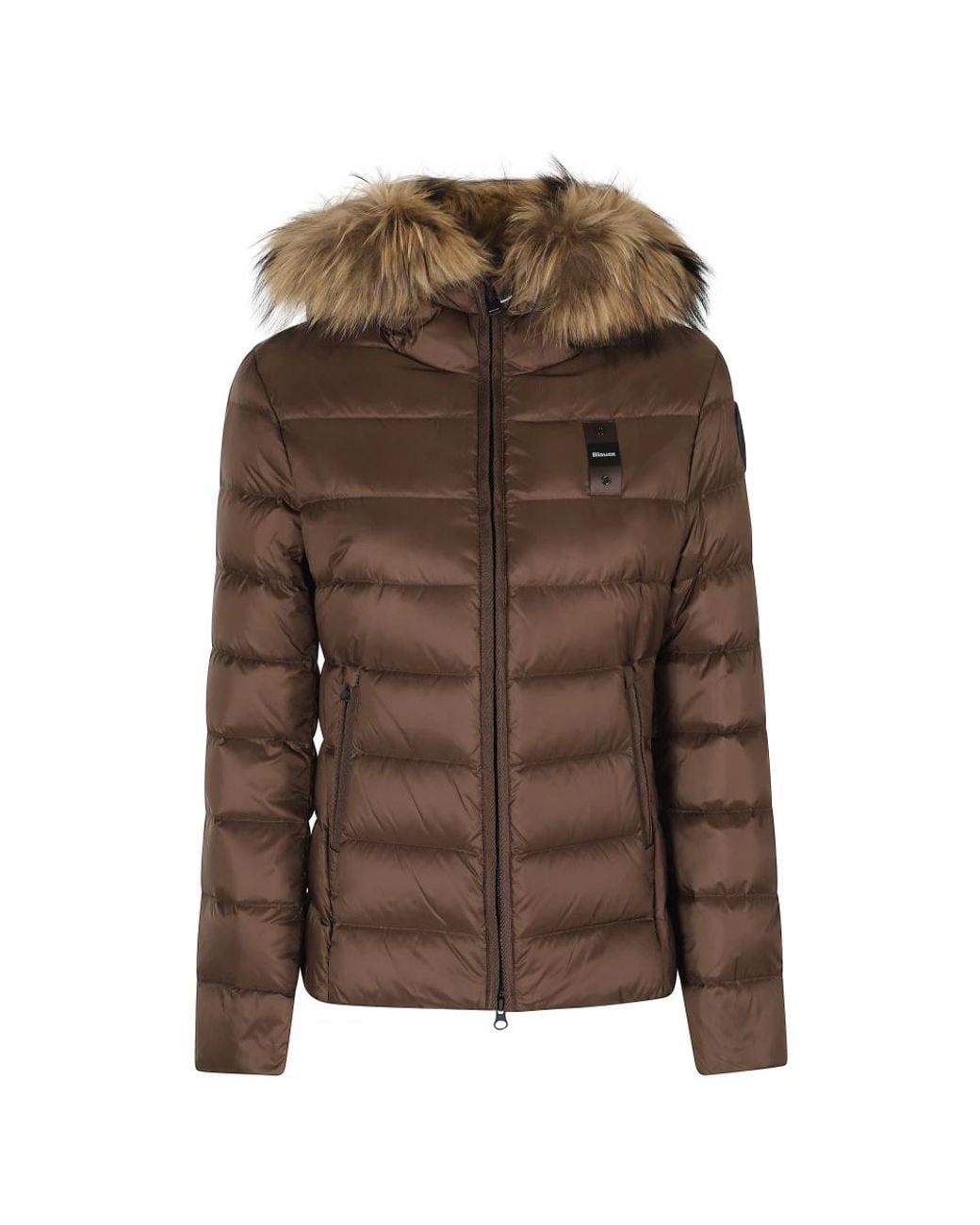 Down Jackets Blauer en coloris Brown