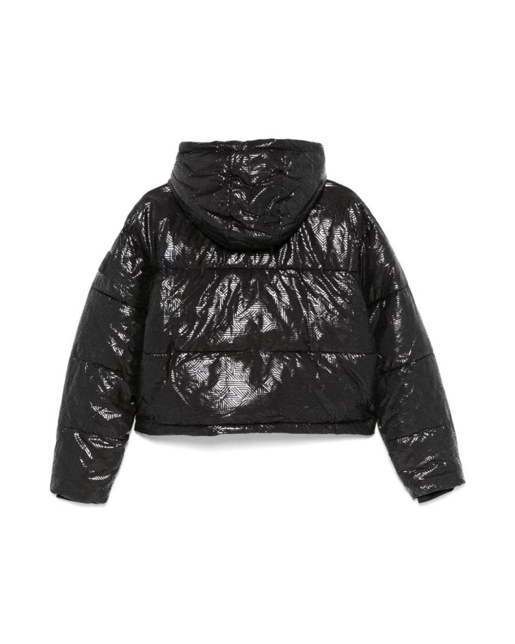 Winter Jackets DKNY en coloris Black