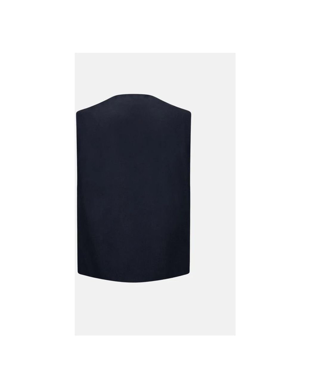 Vests Barena de hombre de color Blue