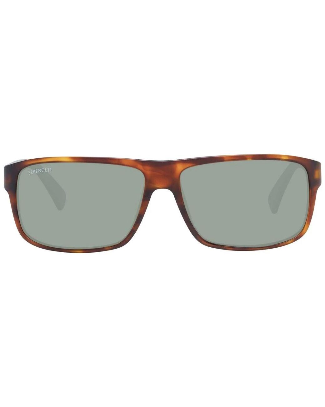 Serengeti Brown Sunglasses for men