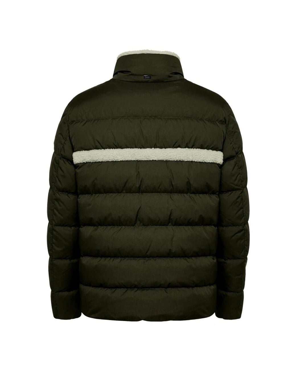 Winter Jackets Herno de hombre de color Green