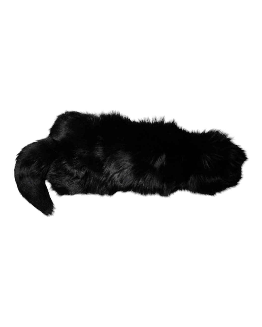 Dolce & Gabbana Black Winter Scarves