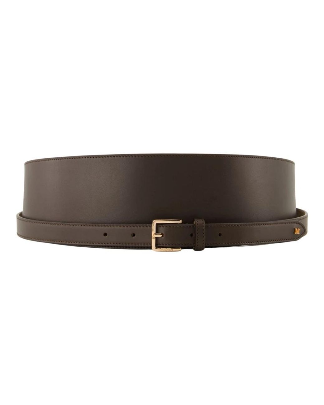 Max Mara Brown Accessoires