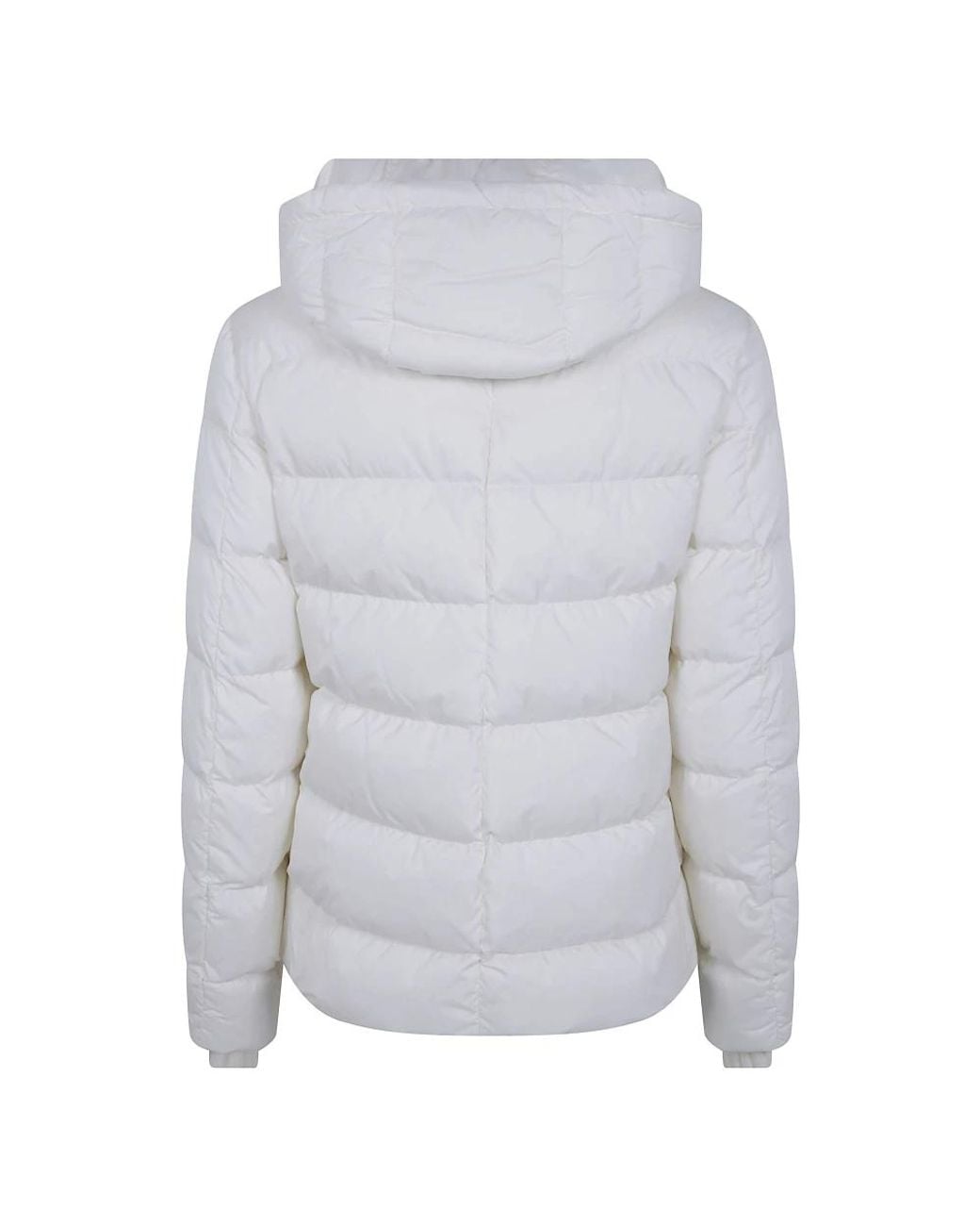 Winter Jackets Herno en coloris Gray