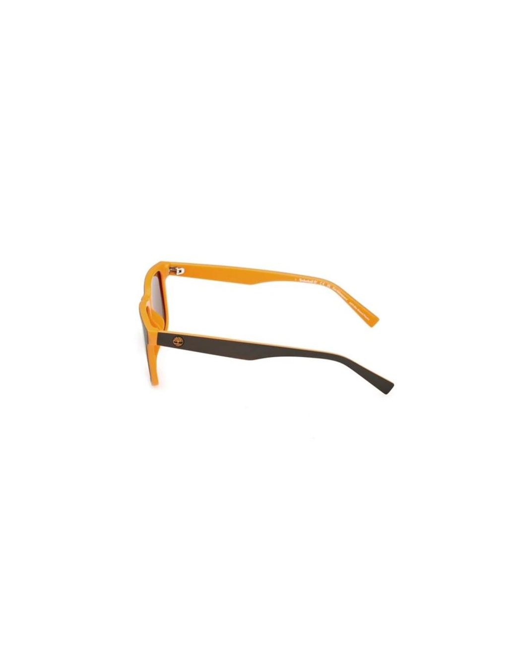 Timberland Brown Sunglasses