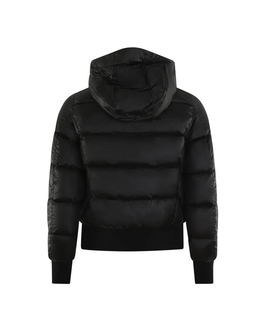Winter Jackets Parajumpers de color Black